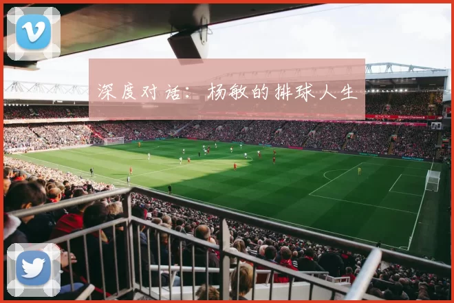 深度对话：杨敏的排球人生