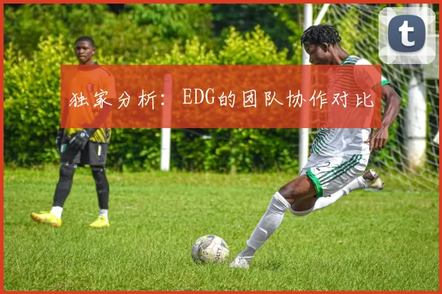 独家分析：EDG的团队协作对比
