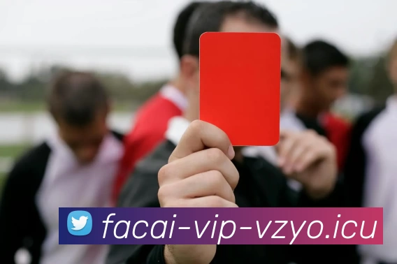 星空体育服务体系